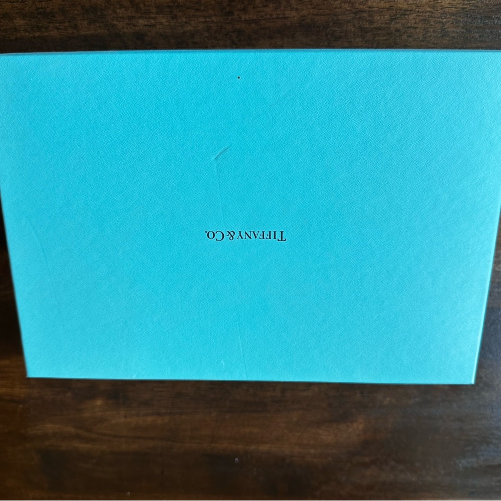 Tiffany & Co. Aqua Fine Bone Coffee Cups - Picture 6 of 6